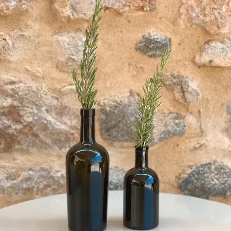 Selinitsa Mani 招待所