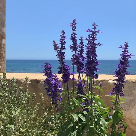 Selinitsa Mani 4* 圣尼古拉奥斯