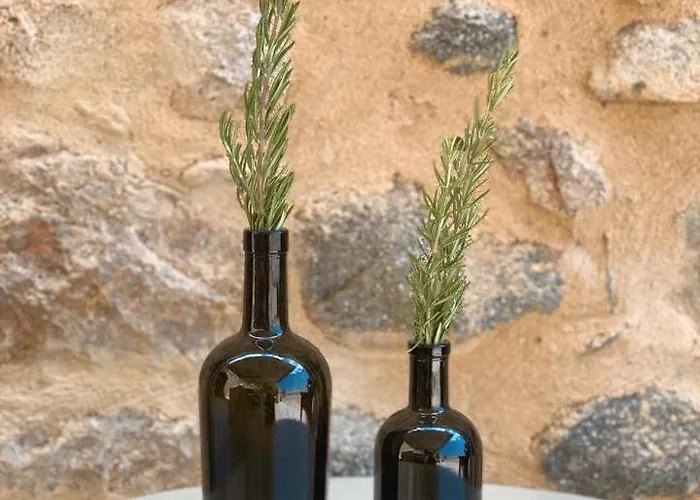 Selinitsa Mani Gasthof