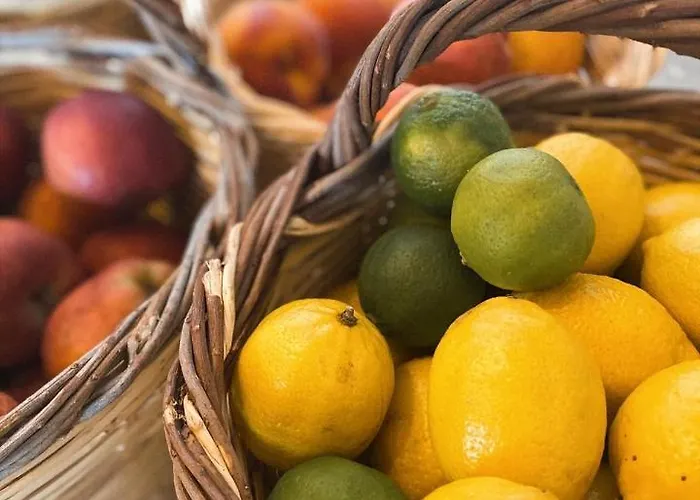 Gasthof Selinitsa Mani 4*