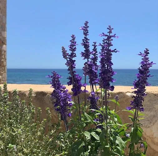 Selinitsa Mani 4* Agios Nikolaos (Mani)